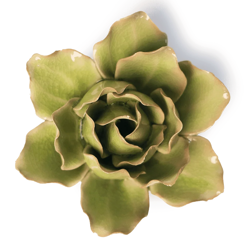 Peridot Stargazer Lily