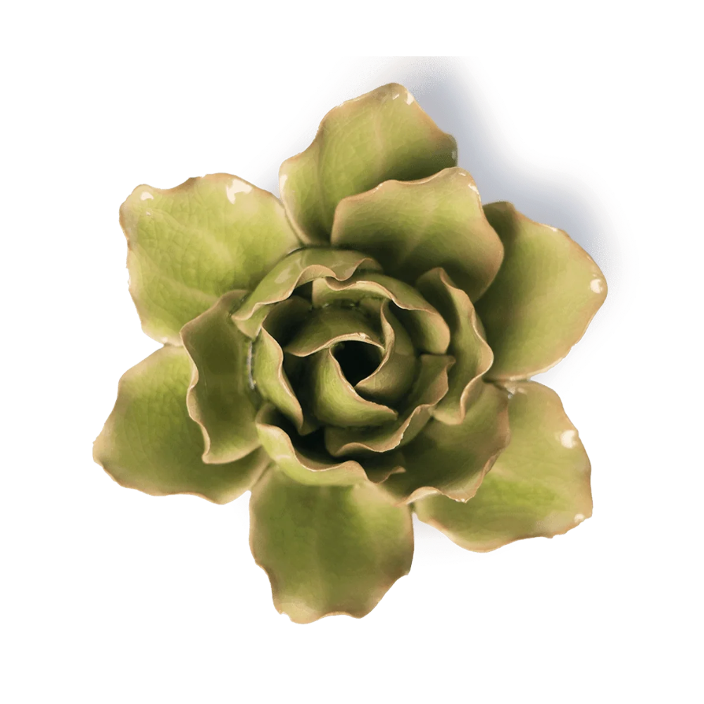Peridot Stargazer Lily