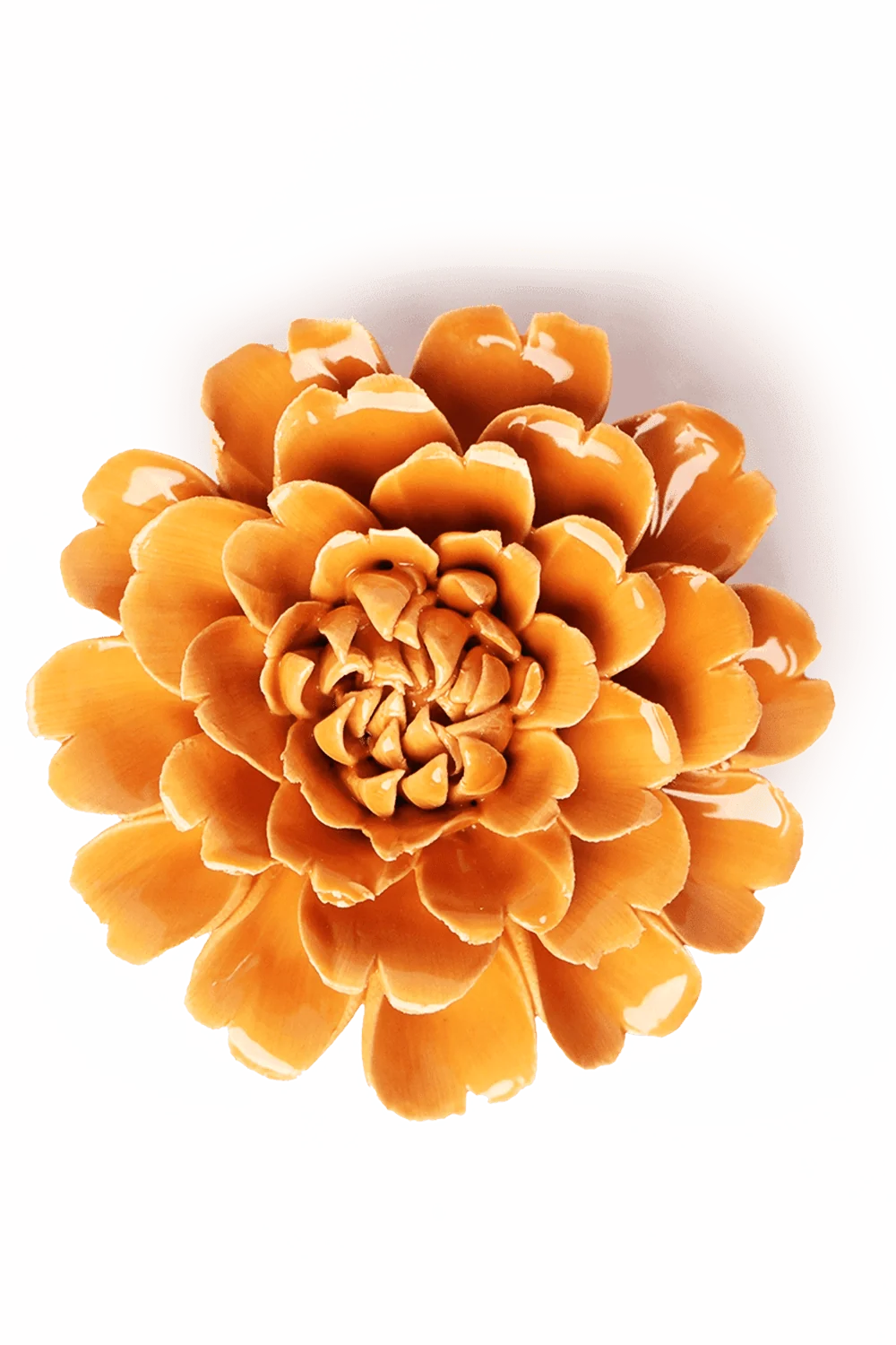 Orange Fiesta Marigold