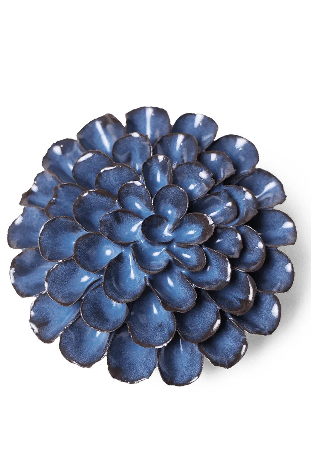 Blue Pompom Dahlia