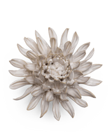 Ivory Spider Mum ceramic flower
