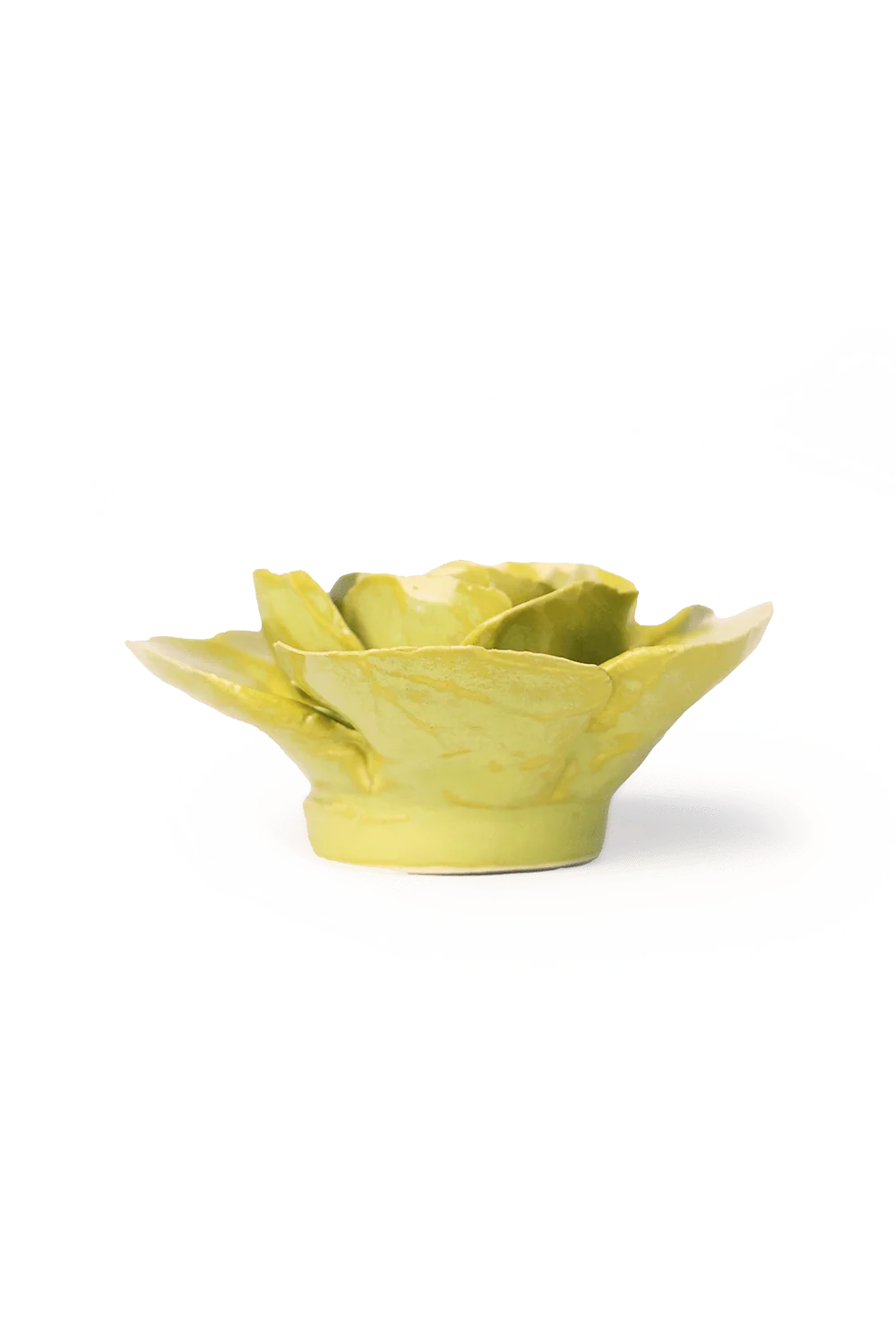 Peridot Stargazer Lily