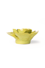 Peridot Stargazer Lily