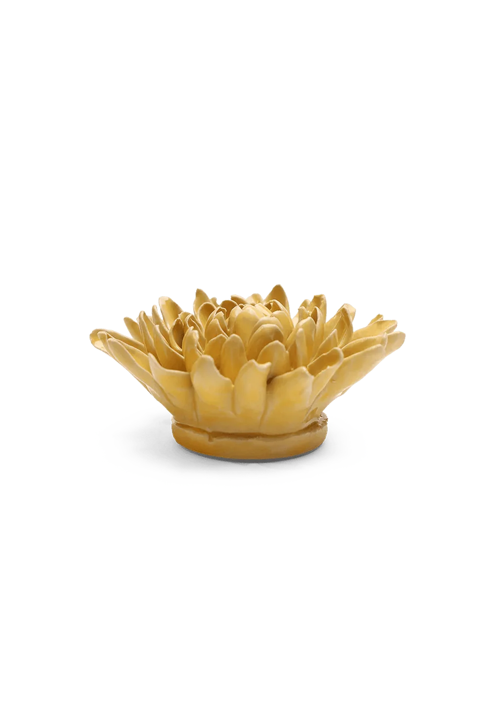 Buttercup Yellow Chrysanthemum