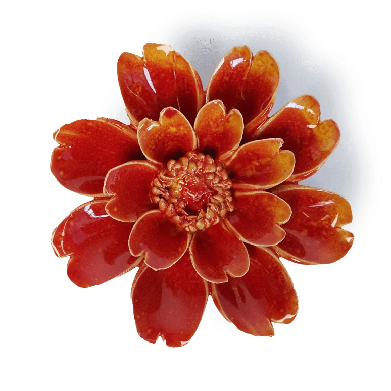 Orange Yellow Paris Daisy