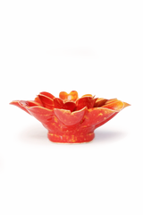 Orange Yellow Paris Daisy